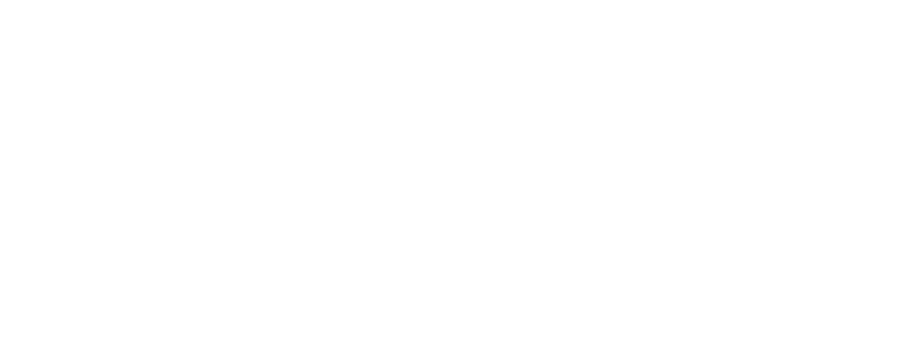 Solution Provider
