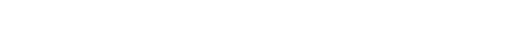 Company Overview